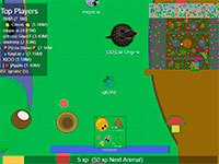 Игра Кислый ио Игра Кислый ио